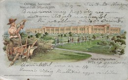 T2/T3 1904 Saint Louis, St. Louis; World's Fair, Palace Of Agriculture. Samuel Cupples Silver Litho Art Postcard S: H. W - Non Classés