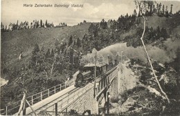 ** T1 Mariazellerbahn, Beinriegl Viadukt / Mariazell Narrow-gauge Railway With Viaduct, Locomotive - Non Classificati