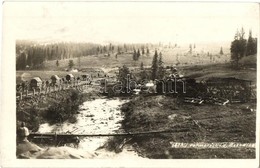 T2 1917 Vormarsch I. D. Bukowina / Bukovinai Előrenyomulás Során A Trén Előtt A Hidászok Készítik A Hídprovizóriumokat.  - Non Classés