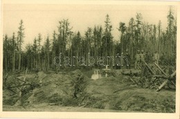 ** T2 Rozstríleny Les Na Vysine Wiszkowského Prusmyku / Zerschossener Wald Auf Der Wiszkower Passhöhe / WWI Austro-Hunga - Sin Clasificación