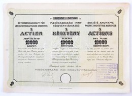 Budapest 1923. 'Mezőgazdasági Ipar-Részvénytársaság' öt Darab Részvénye Egyenként 10.000K-ról, Három Nyelven, Szárazpecs - Unclassified