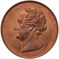Német Államok / Szászország 1826. 'Johann Wolfgang Von Goethe' Cu Emlékérem. Szign.: Friedrich Anton König (43mm) T:2
Ge - Non Classificati