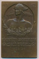~1924. 'Pénzintézeti Sportegyletek Szövetsége - 1923/24. I.' Br Díjplakett (48x75mm) T:2 - Non Classificati
