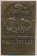 ~1924. 'Pénzintézeti Sportegyletek Szövetsége - 1923/24. I.' Br Díjplakett (48x75mm) T:2 - Ohne Zuordnung