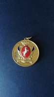 Medaglia Dorata Al Valore Militare "Savoye Bonnes Nouvelles" - ME104 - Royaux/De Noblesse