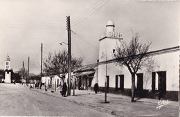 DJELFA - La Mosquée Et Rue De L'Eglise - Djelfa