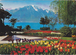 SUISSE,SWITZERLAND,SVIZZERA,SCHWEIZ,HELVETIA,SWISS,VAUD,MONTREUX - Montreux
