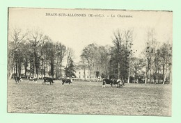 BRAIN SUR ALLONNES La Chaussée - Allonnes