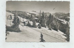 Oberstaufen (Allemagne, Bavière) : Skifahrer Auf Den Pisten Im 1957 (lebendig) PF . - Oberstaufen