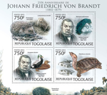 Togo  2012  JohannFriedrich Von Brandt  , German Naturalist, Turtle ,hedgehog - Togo (1960-...)