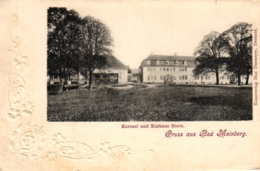 Detmold, Kursaal Und Kurhaus Stern, Prägekarte, Um 1900/05 - Detmold