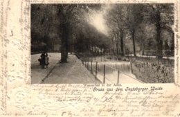 Detmold, Wasserfall In Der Allee, Prägekarte 1901 - Detmold