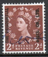 GB Queen Elizabeth Wilding Commercial Overprint Cinderella Stamp. - Cinderellas