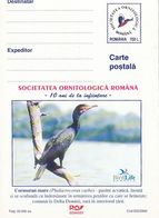 BIRDS, GREAT CORMORANT, POSTCARD STATIONERY, 2000, ROMANIA - Albatros