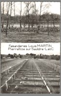 CPSM 41 - Pierrefitte Sur Sauldre - Faisanderies Louis Martin - Sin Clasificación