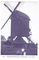 Tessenderlo: Baalmolen  ( 2  Scans) - Tessenderlo