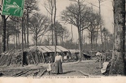 VELIZY --Une Coupe De Bois - Velizy