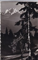 Switzerland, Suisse, Riederalp, Ausblick Auf Den Fletschhorn (pk56960) - Horn