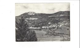 LE CHATELARD LE MONT JULIOZ   ****   A  SAISIR    ****** - Le Chatelard