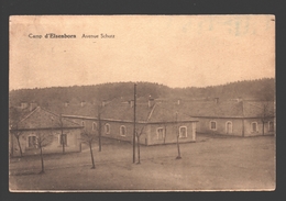 Camp D'Elsenborn - Avenue Schutz - 1930 - Elsenborn (camp)