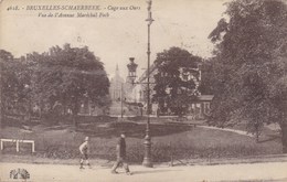 Bruxelles, Schaerbeek, Cage Aux Ours, Vue De L'Avenue Maréchal Foch (pk57065) - Schaarbeek - Schaerbeek