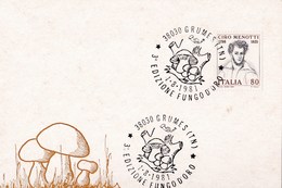 Superbe Cachet Du 1/08/1981 Sur Carte Dos Vierge Italie Champignon Cèpes Champignons Mushroom Setas Pilze - Funghi