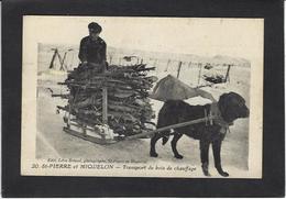 CPA Saint Pierre Et Miquelon Métier Non Circulé Voiture à Chien Attelage - Saint-Pierre E Miquelon