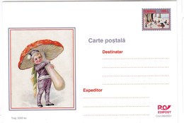 Carte Entier Postal De Roumanie Tirage 5000 Exemplaires Champignon Champignons Mushroom Setas Pilze - Funghi