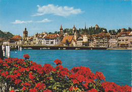 SUISSE,SWISS,SWITZERLAND,SCHWEIZ,SVIZZERA,LUZERN,LUCERN,PONT,FLEURS - Lucerne