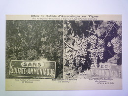 GP 2019 - 597  ESPIRA-de-L'AGLY  :  Effets Du Sulfate D'Ammoniaque Chez M. PIQUEMAL...   XXX - Andere & Zonder Classificatie