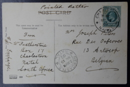 NATAL POSTCARD CHARLESTOWN -> NEWCASTLE NATAL -> ANTWERP BELGIUM, Send As Printted Atter 5-3-1907 - Natal (1857-1909)