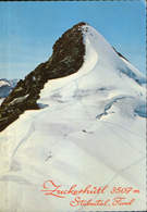 Osterreich - Postcard Circulated In 1980 -  Stubaital - View From The Wilden Pfaff On Zuckerhütl  - 2/scans - Neustift Im Stubaital