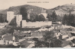 19 / 3 / 309  -  CHATELDON ( 63 )  LE  CHATEAU - Chateldon