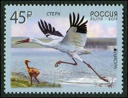 Russia 2019 - One National Bird Siberian Crane Europa CEPT Animal Nature Fauna Birds Cranes Stamp MNH - 2019