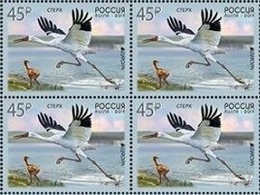Russia 2019 - Block National Bird Siberian Crane Europa CEPT Animal Nature Fauna Birds Cranes Stamps MNH - 2019