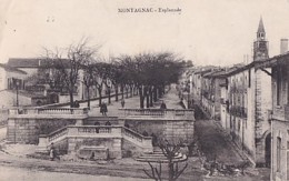 MONTAGNAC           L ESPLANADE - Montagnac