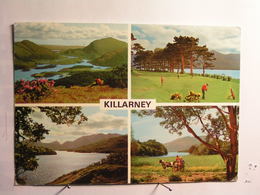 Killarney - Vues Diverses - Autres & Non Classés