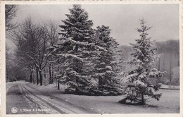 L'hiver A Libramont (pk57214) - Libramont-Chevigny