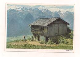 AK Auf Der Alm - Nicht Gelaufen - Auf Dem Muttersbrg Bei Bludenz (Tirol-Vorarlberg) - Bludenz