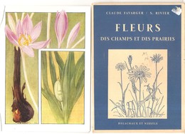 Chromos Fleurs Des Champs Et Des Prairies Par Claude Farger Et S. Rivier Pochette N°4 CHROMOS DE 1 à 12 - Album & Cataloghi