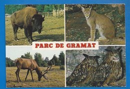 ANIMAUX - 46 - ZOO - PARC DE GRAMAT- BISON -LYNX - WAPITI - GRANDS-DUCS - Gramat