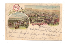 0-6901 GUMPERDA, Lithographie, Lehr- Und Erziehungsanstalt, Gesamtansicht - Eisenberg