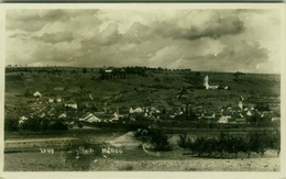 SWITZERLAND - HALLAU - SCHAFFHAUSEN - VIEW - RPPC POSTCARD 1930s ( BG2860 ) - Hallau