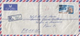 COVER LETTRE MALAWI  TO FRANCE REGISTERED BLANTYRE - Zonder Classificatie