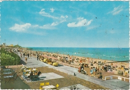 NORDERNEY   -   " Nordseebad STRAND "   -  Verlag : Herbert VENNEBERG Aus Oldenburg Nr / - Norderney