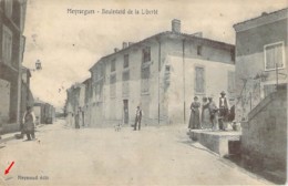 13 BOUCHES Du Rhône Animation à La Fontaine Du Boulevard De La Liberté De MEYRARGUES - Meyrargues