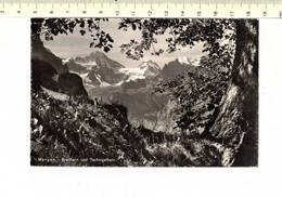 Delcampe - 49940 - WENGEN BREITHORN UND TSCHINGELHORN - Wengen