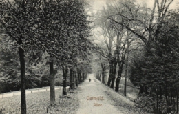 Detmold, Allee, Um 1910 - Detmold