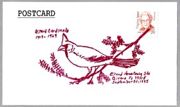 Girard Cardinals - CARDINAL - CARDINALIDAE. Girard TX 1995 - Afstempelingen & Vlagstempels