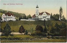 HEERBRUGG: Rebberg Mit Villa Und Schloss 1913 - Berg